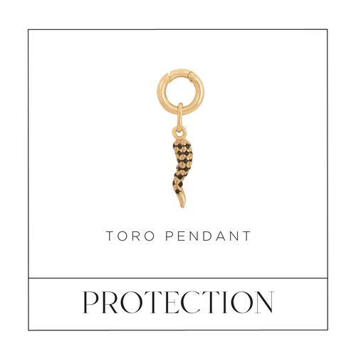Toro Nero Jewelled Pendant (Protection)